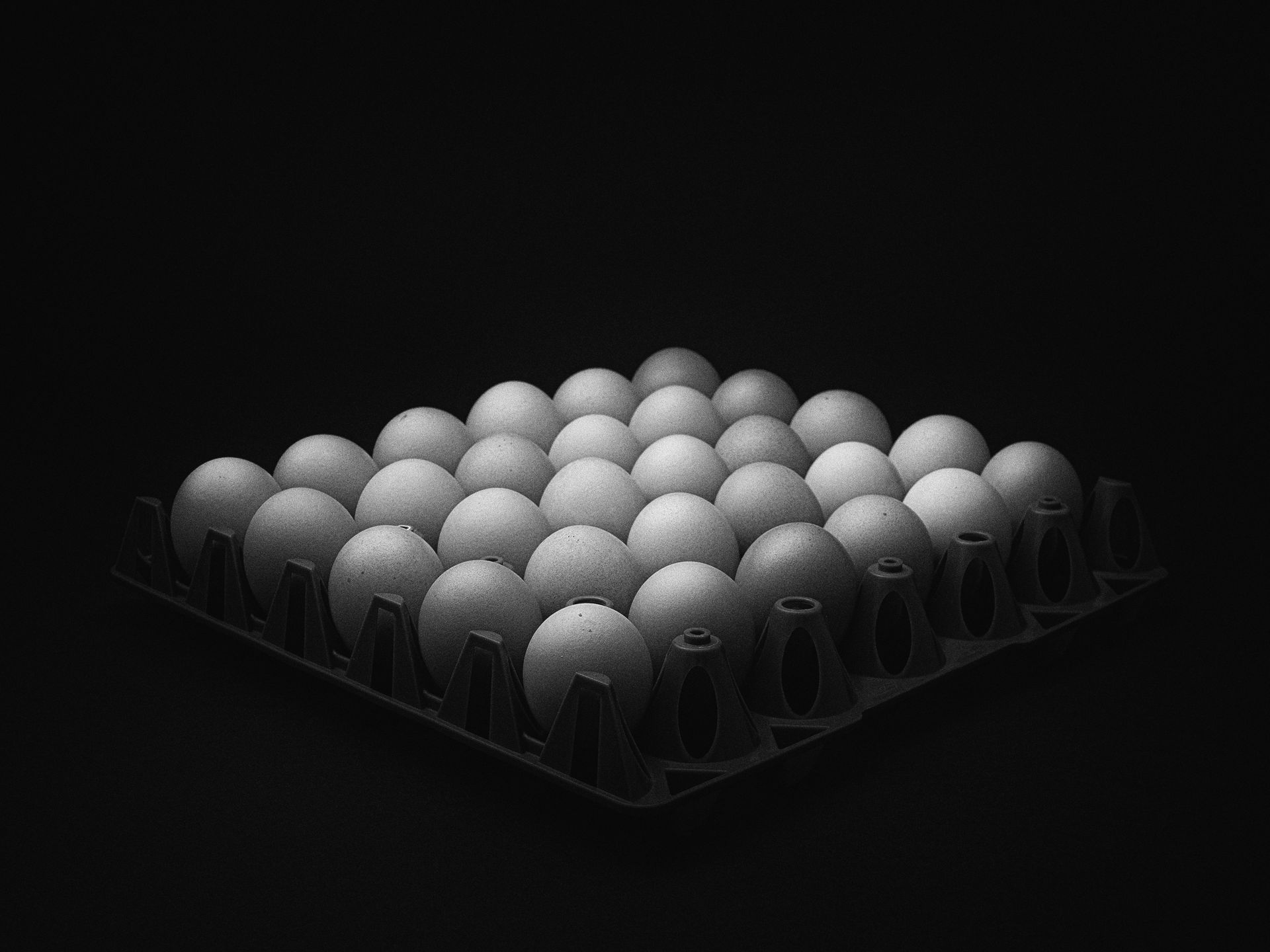 ケースに並べた30個の卵の写真